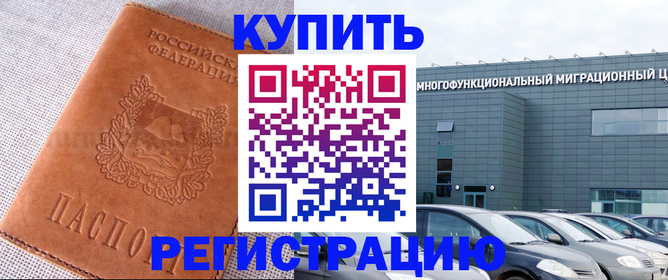 прописка законно в Светлограде