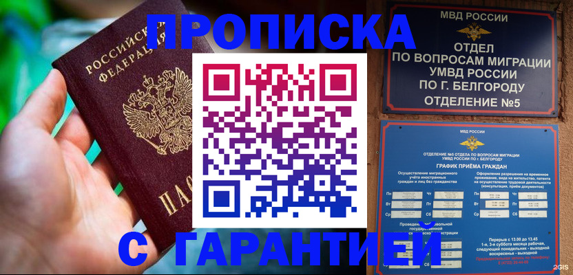 прописка для работы в Светлограде